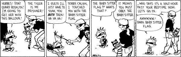 [11-BabySitterFlag.gif]