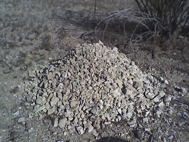 [gravel+mound.jpg]