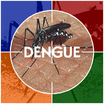 [dengue.gif]