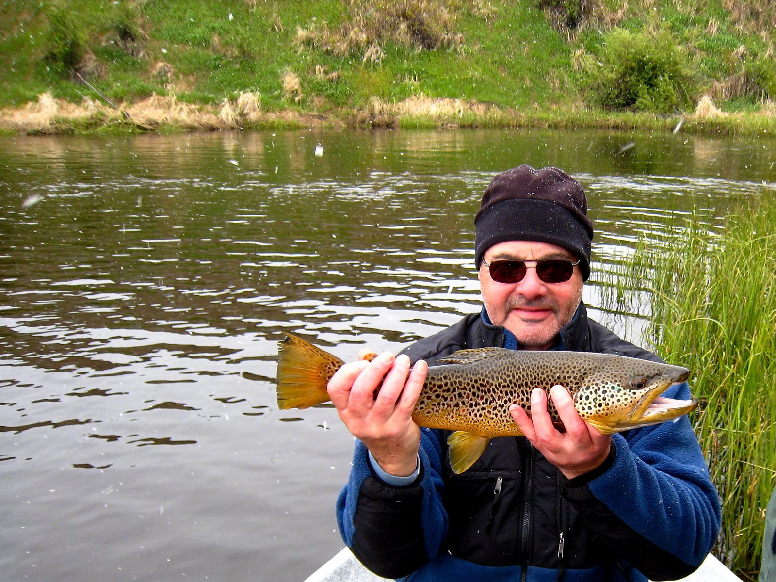 [brown+trout,+22+inches.JPG]