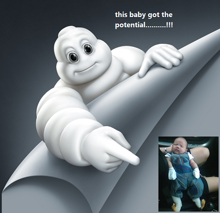 [michelin.PNG]