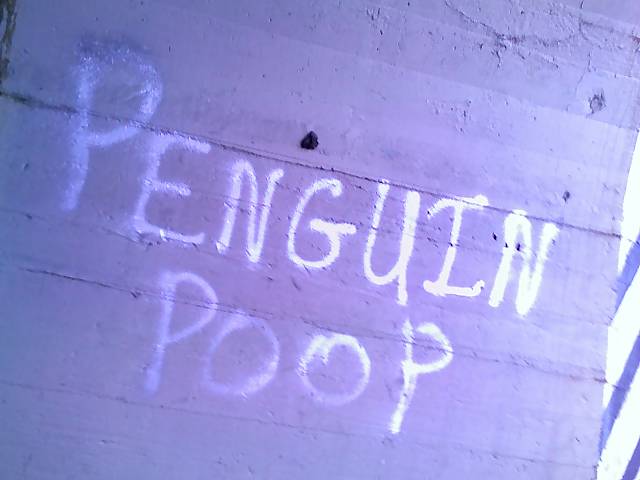 [penguin+poop+2.jpg]