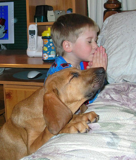 [dog+pray]