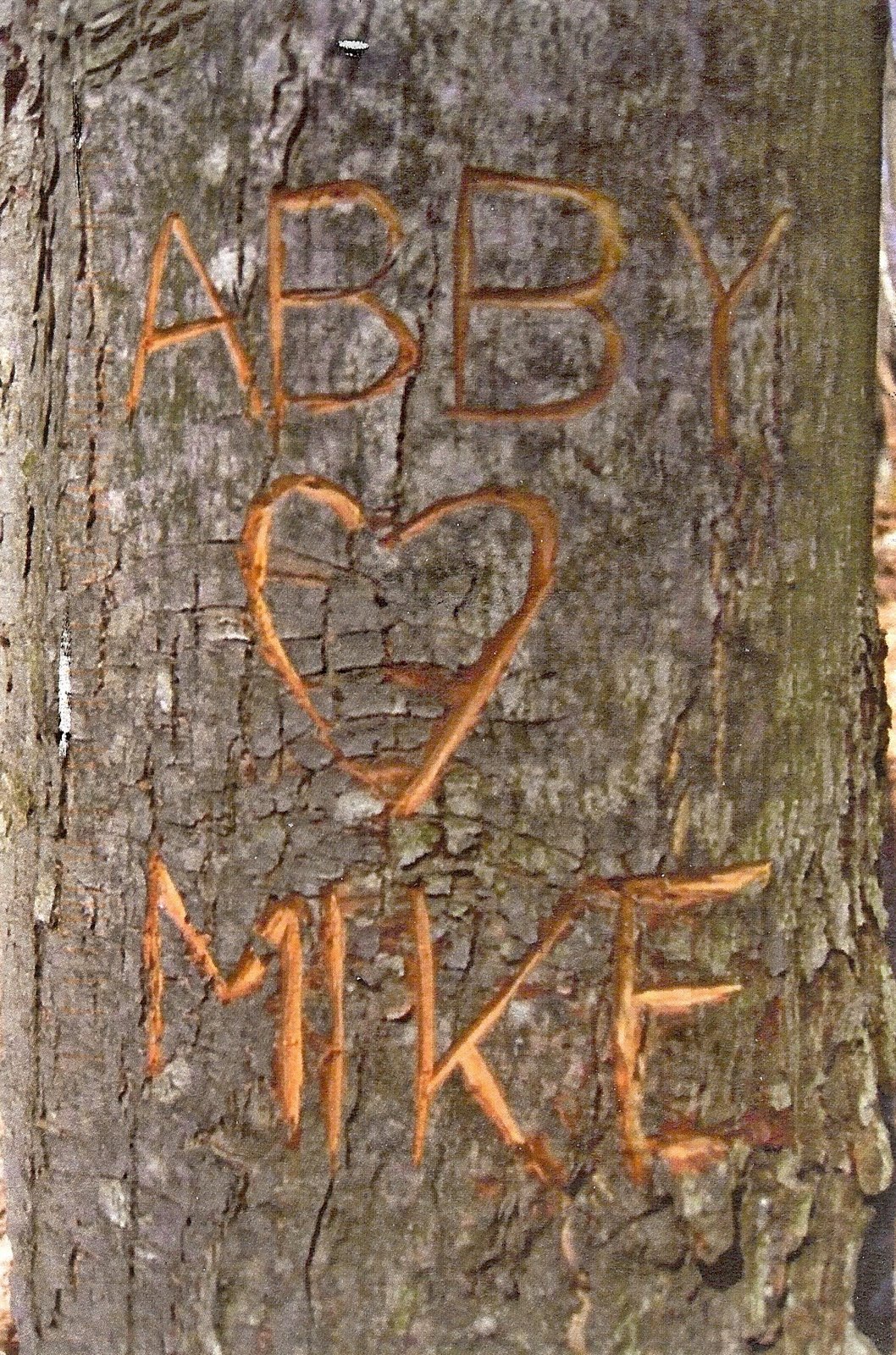 [Mike+and+Abby+Save+the+Date.jpg]