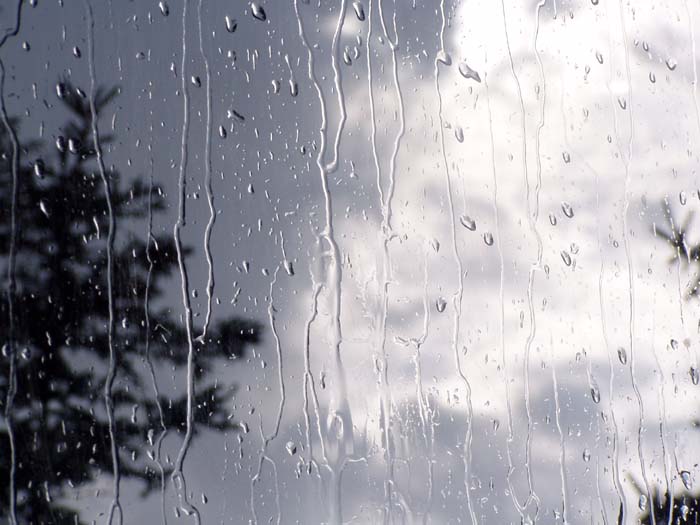 [rain on window 267.jpg]