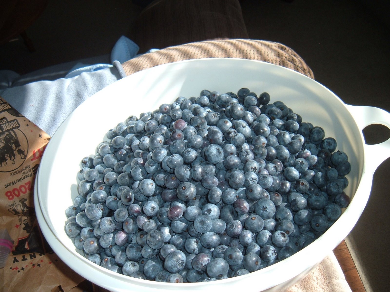 [blueberries+and+van+021.jpg]