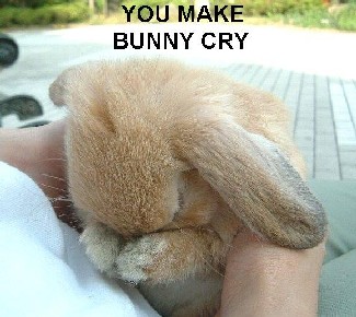 [bunny-cry.jpg]
