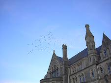 Flight of little birds above the Old College