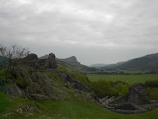 The view from the ruins of Castell y Bere