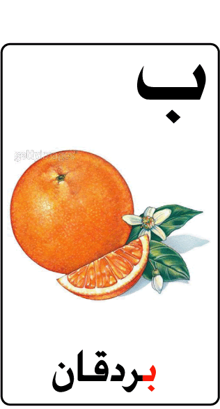 [orange.gif]