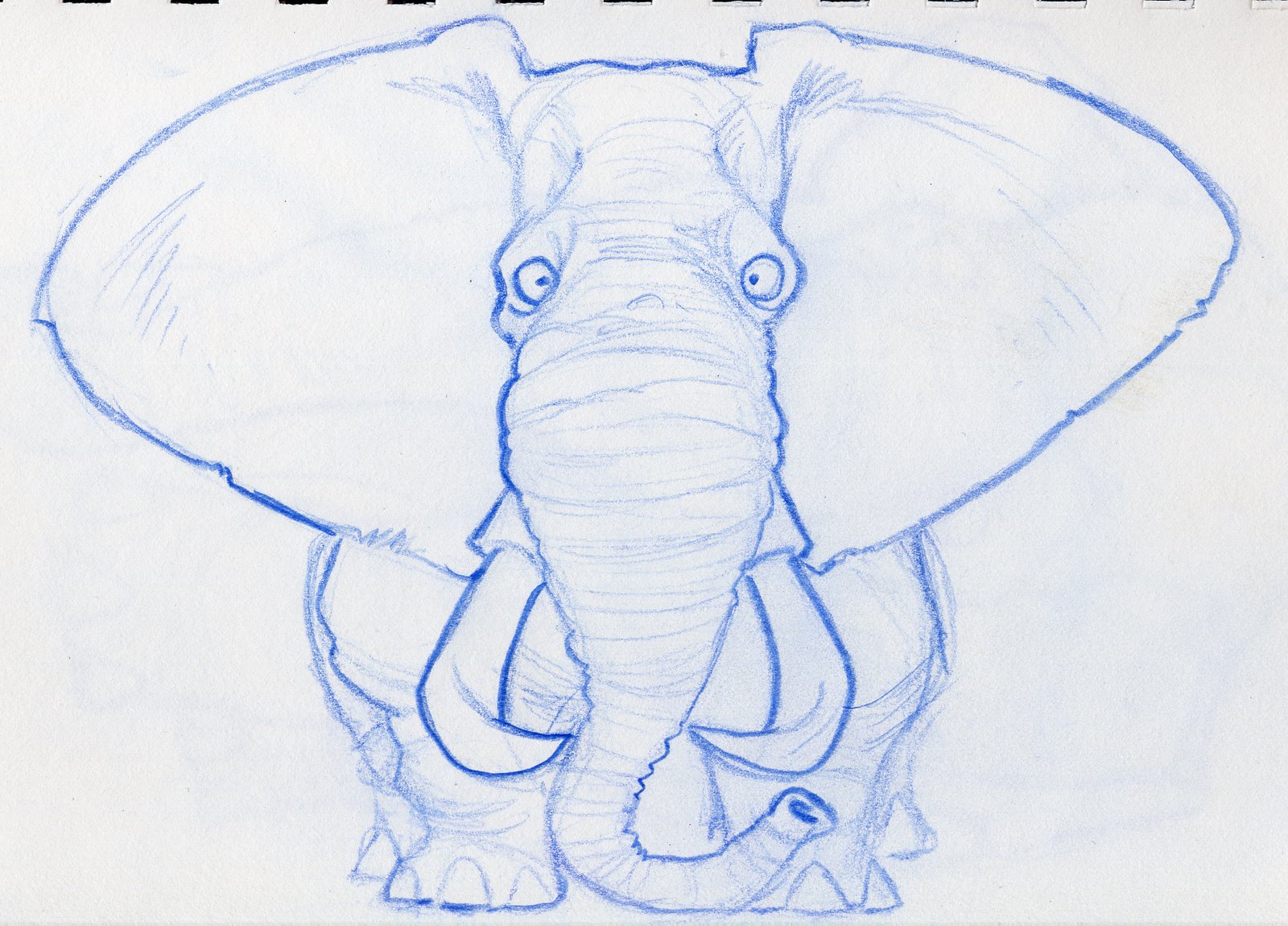[elephant1.jpg]
