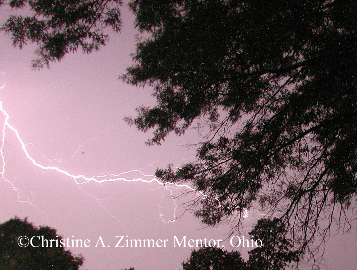 [lightning-photo-2-cr.gif]