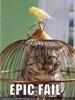 [funny-pictures-bird-cat-cagesm.jpg]