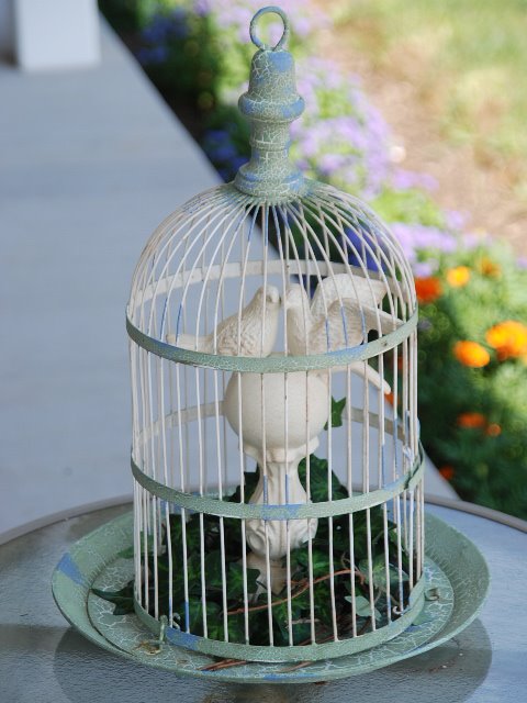 [love+bird+cage.JPG]