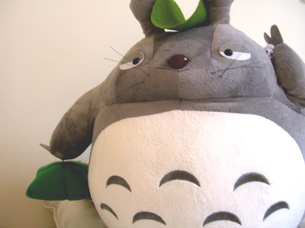 [Totoro.JPG]
