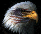 [1eagle_with_flagmask.png]