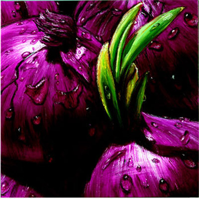 [ALM_4666~Onions-Posters.jpg]