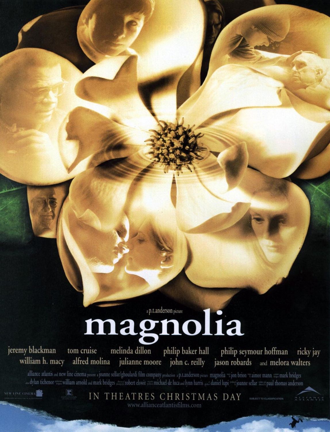[Magnolia.jpg]