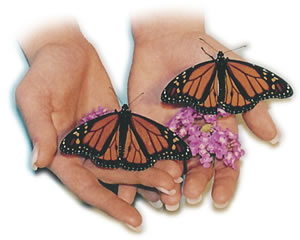 [Hands_2Butterflies.jpg]