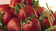 [strawberries-1-1-1.jpg]
