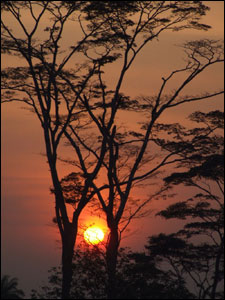 [Triad+Mohammad_BBC_last+sunset+of+2006+in+Liberia.jpg]