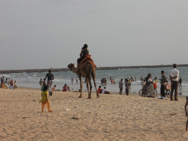 Camel ride at Panambur beach, Mangalore