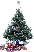 [blinking+christmas+tree.bmp]