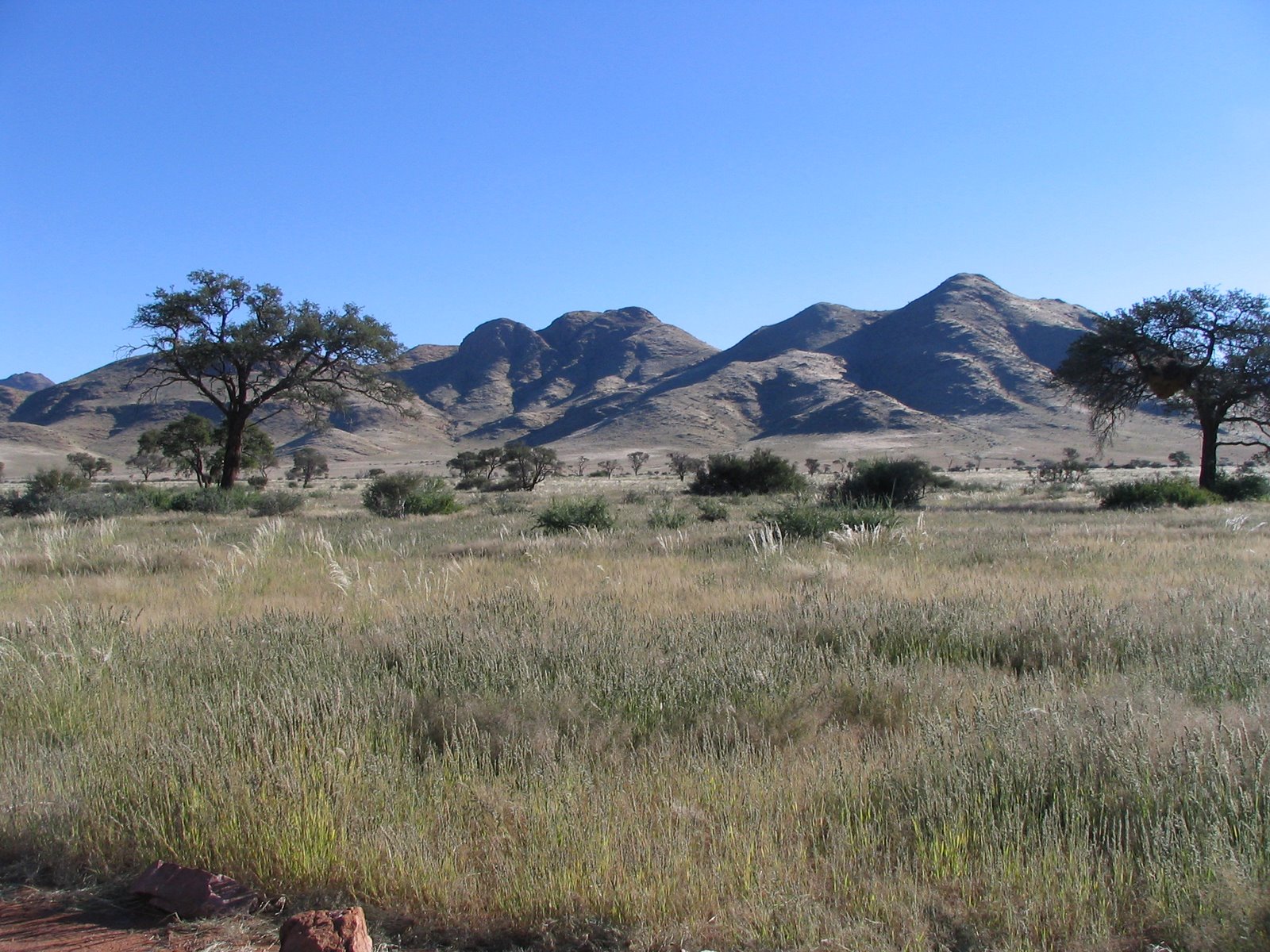 [033+Namibian+Landscape.jpg]