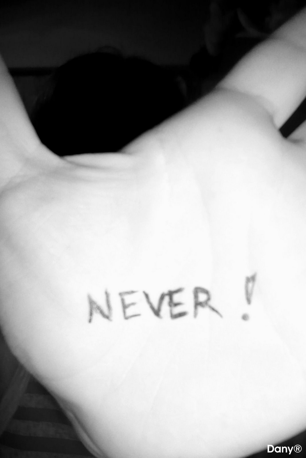 [never+!.jpg]