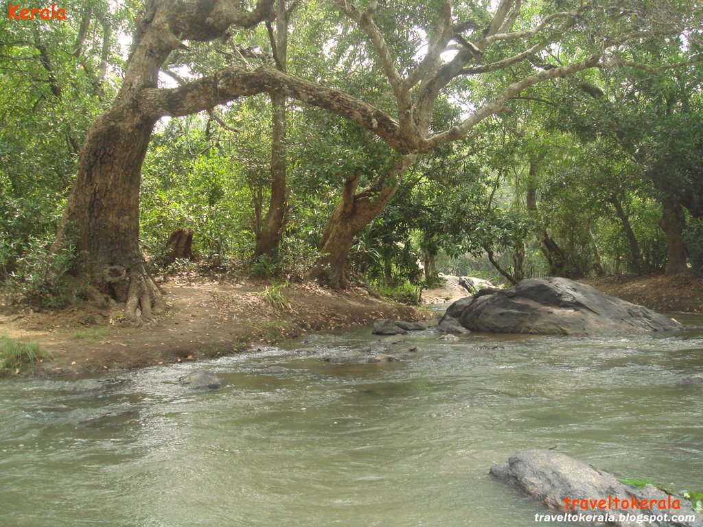 [Kabani+River++at+Wayanad+traveltokerala.blogspot.com+(2).jpg]