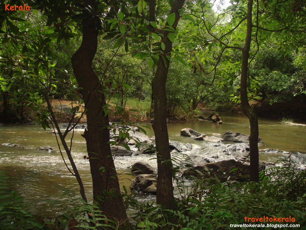 [Kabani+River++at+Wayanad+traveltokerala.blogspot.com+(5).jpg]
