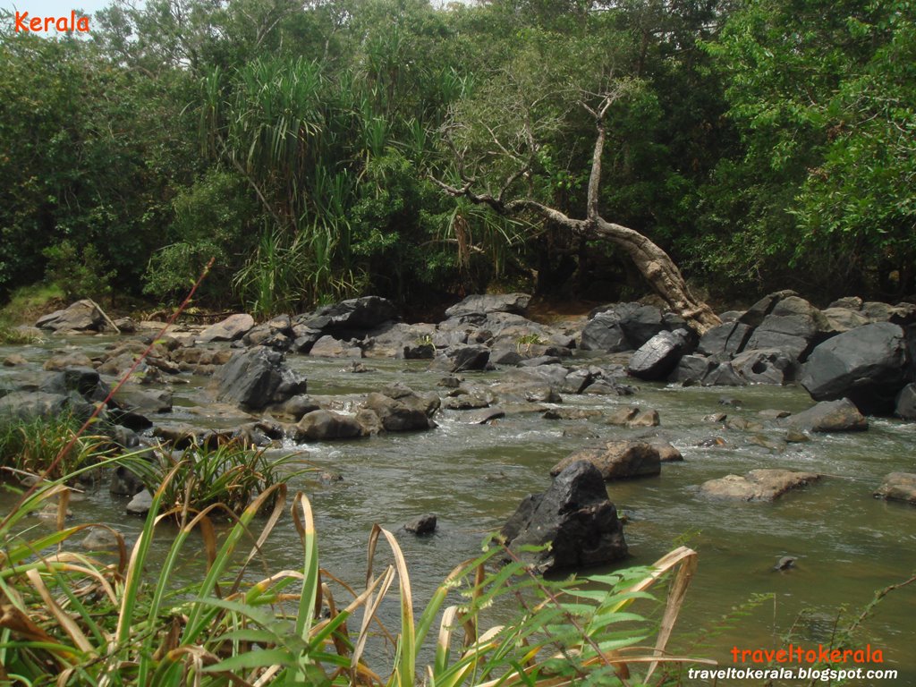 [Kabani+River++at+Wayanad+traveltokerala.blogspot.com+(4).jpg]