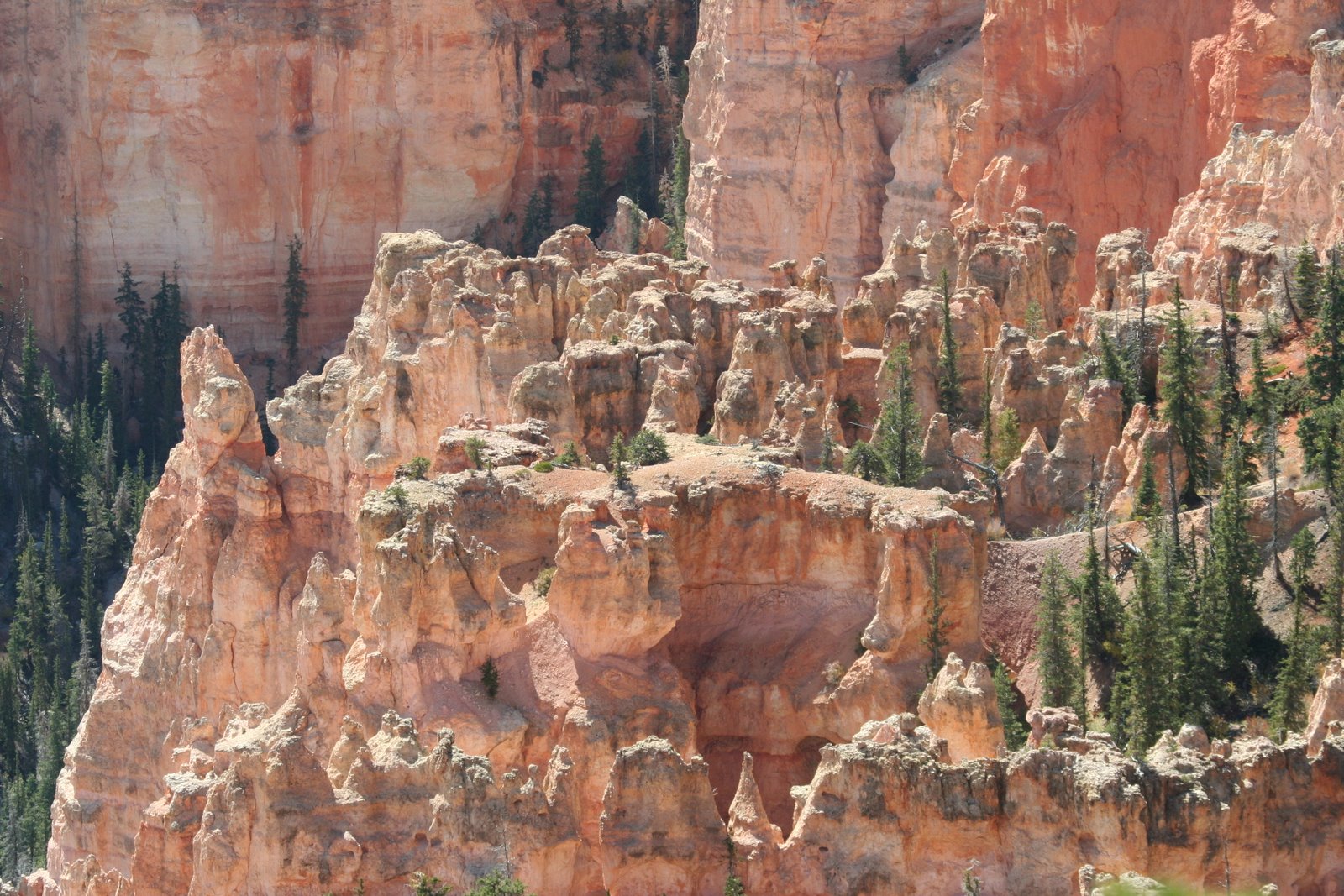 [Bryce+Canyon+to+home+135.JPG]