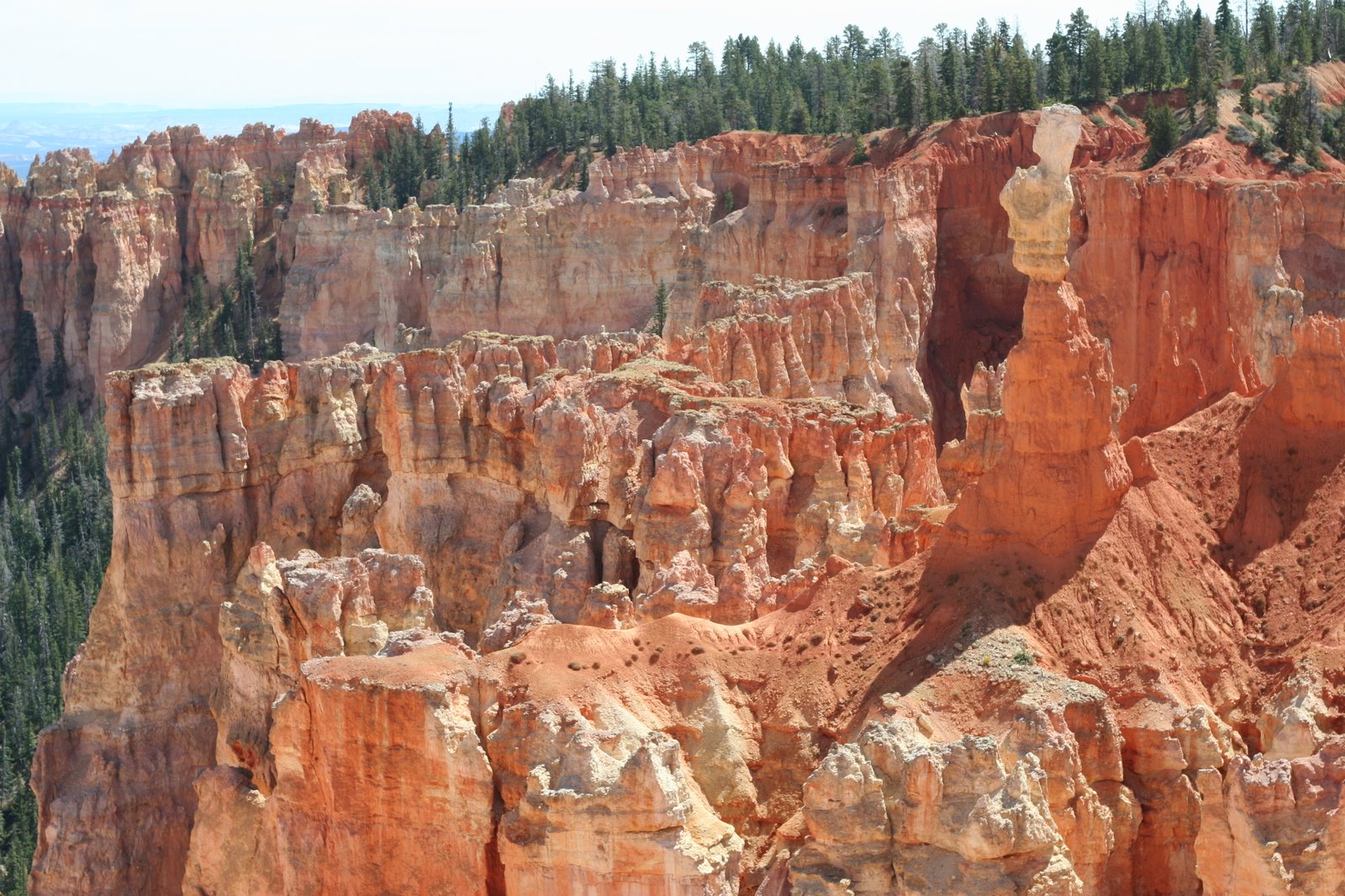 [Bryce+Canyon+to+home+188.JPG]