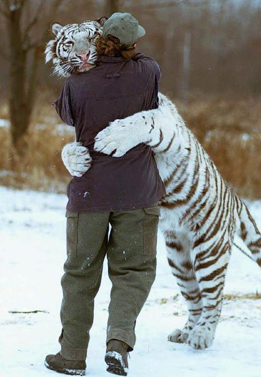 [Abrazo+Tigre.JPG]