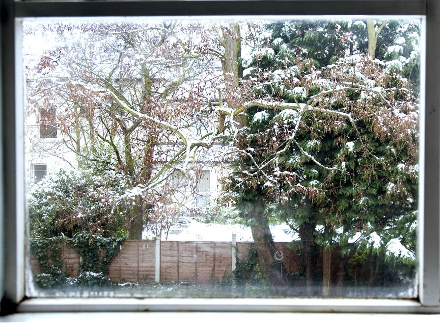 [snowy-garden+v3.jpg]