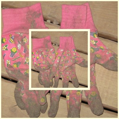 [gardening+gloves.jpg]