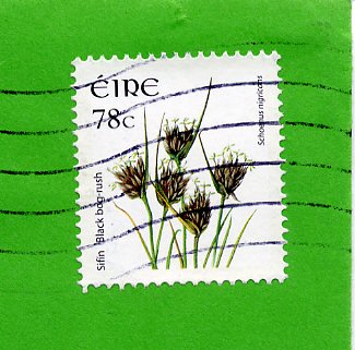 [irish+stamp717.jpg]