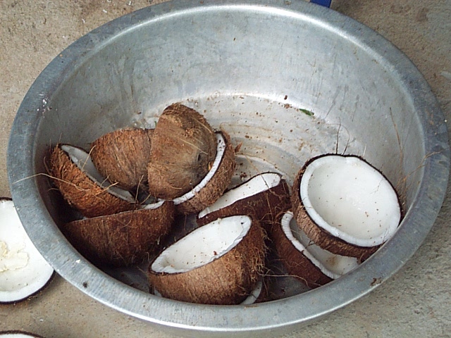 [split+coconuts.JPG]
