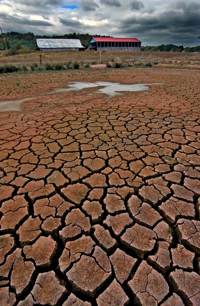 [Drought1web.jpg]