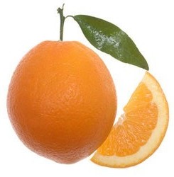 [orange+fruit.jpg]