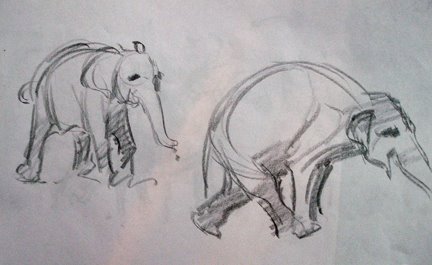 [elephant+2.jpg]