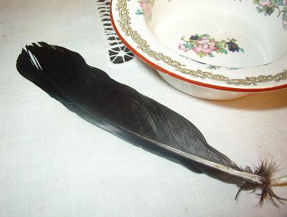 [Crow+Feather.jpg]