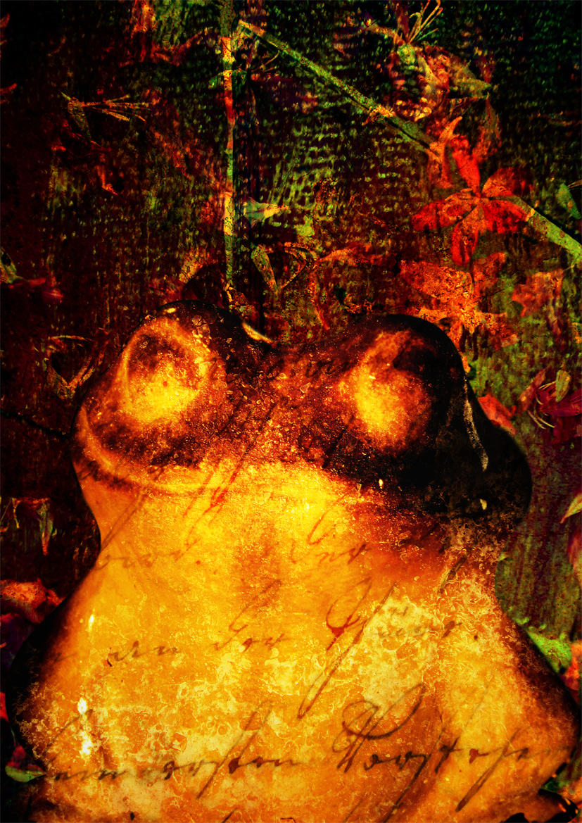 [magic+toad.jpg]