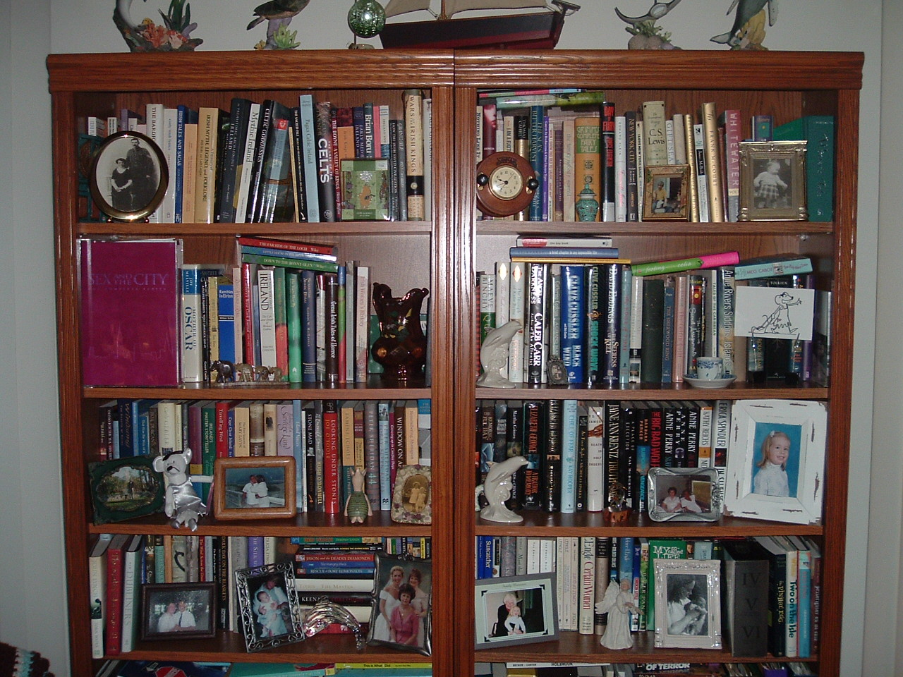 [bookshelves+002.jpg]