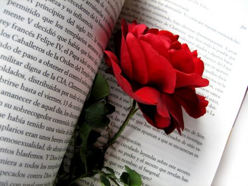 [book+and+rose.php]