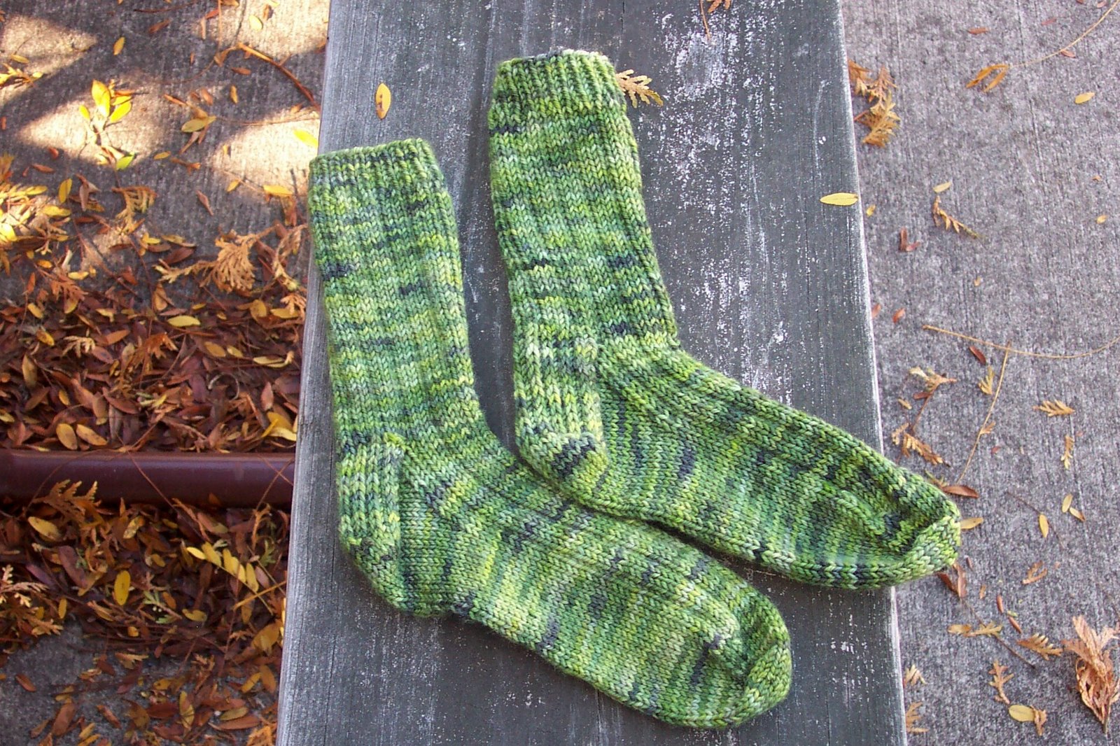 [Jungle+socks+2007.jpg]