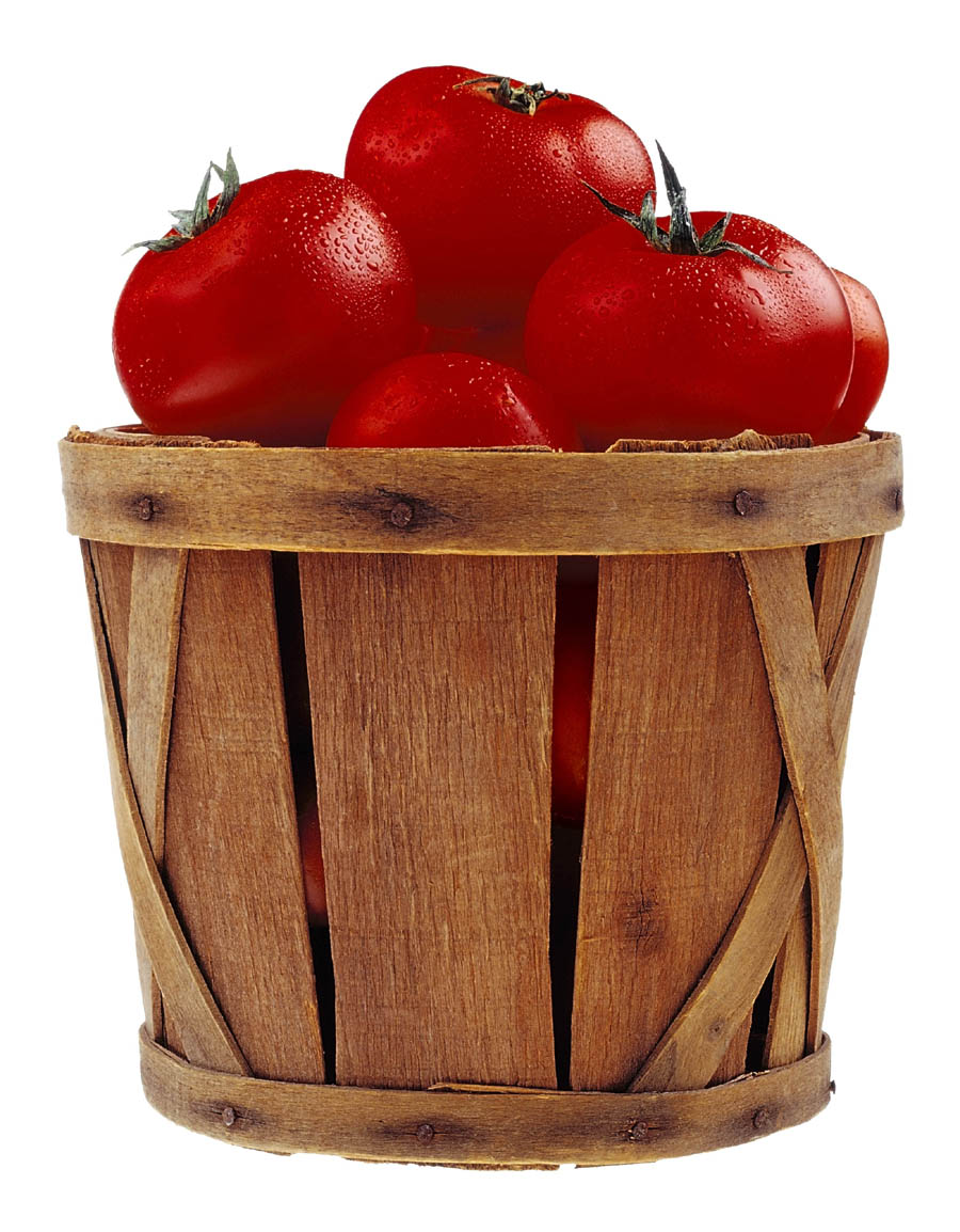 [tomato+basket+in+color.jpg]