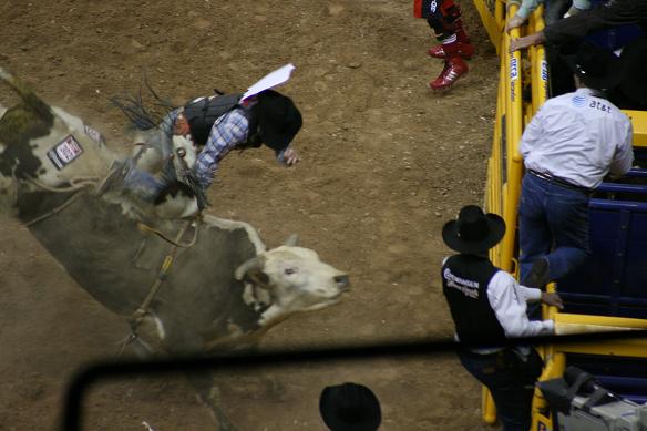 [bull+riding.JPG]