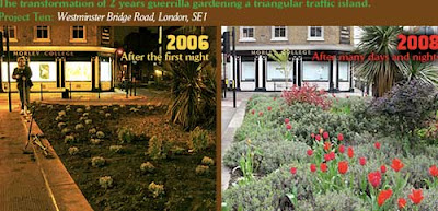 Two photos. At left, a large flower bed in 2006 when first planted. At right, the same bed in 2008 filled with plants, dominated by red tulips.